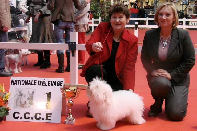 Gerome Best Puppy and BIS Puppy at the National Specialty Exotic Dogs 2012
